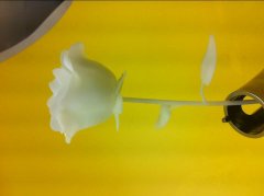 3D打印手板模型3